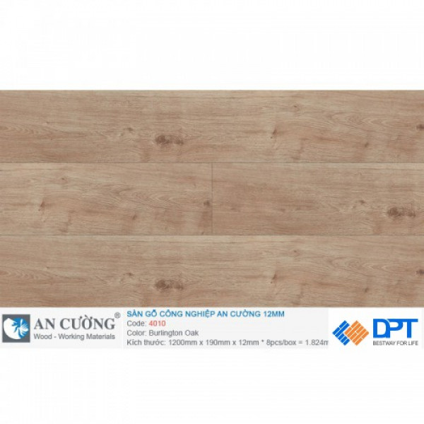 Sàn gỗ An Cường 4010 Burlington Oak 12mm