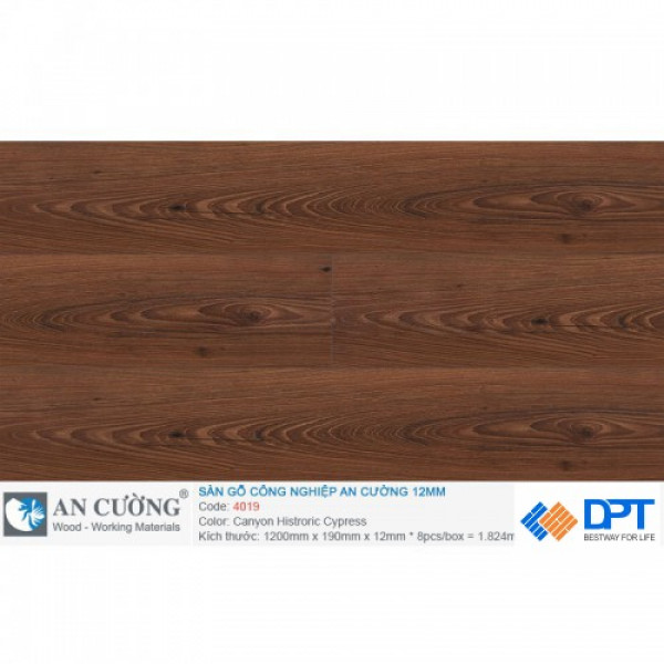 Sàn gỗ An Cường 4019 Canyon Histroric Cypress 12mm