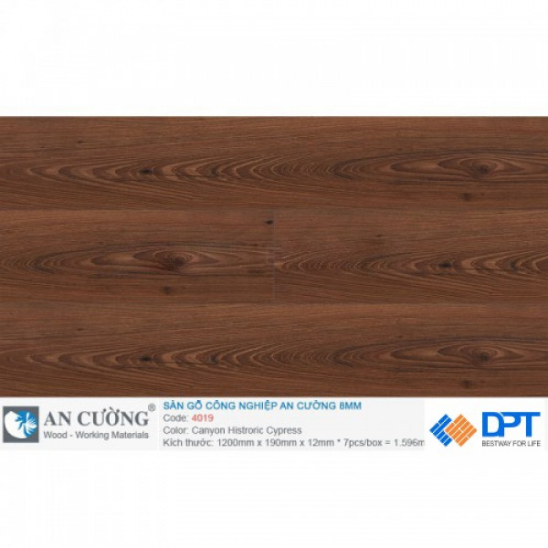 Sàn gỗ An Cường 4019 Canyon Histroric Cypress 8mm