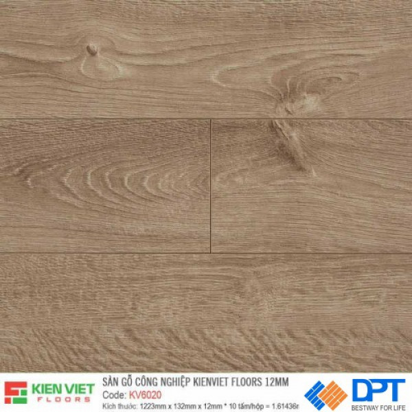 Sàn gỗ Kienviet Floor KV6020 12mm