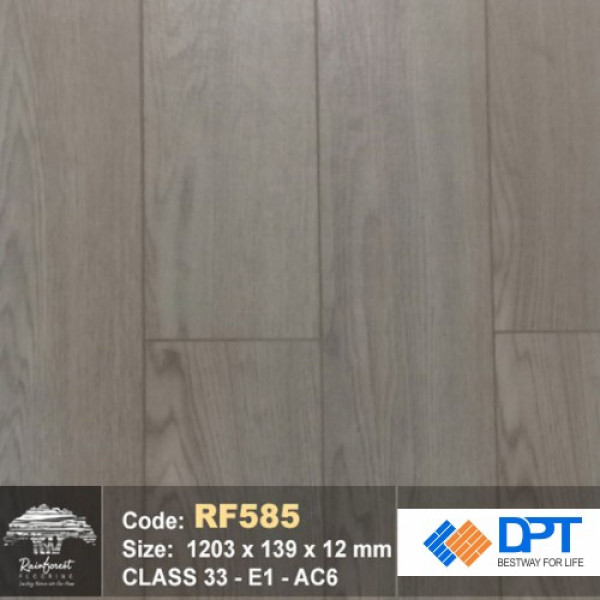 Sàn gỗ Rainforest RF585 AC6 12mm